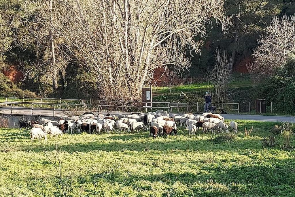 Casa Rural El Parais, Naturalmente. Agullent Bagian luar foto